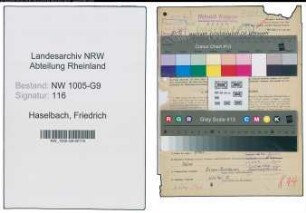 Entnazifizierung Friedrich Haselbach , geb. 27.04.1900 (Ingenieur)