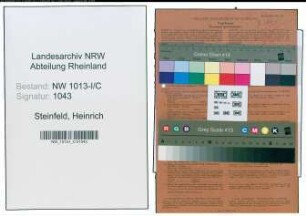 Entnazifizierung Heinrich Steinfeld , geb. 15.05.1902 (Maurermeister)