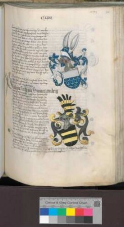 Philipp Flach von Schwarzenberg