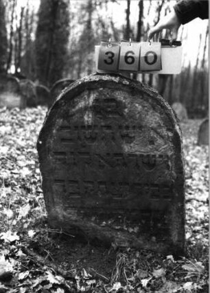 Grabstein 360 (Index: 99752576) Material: Sandstein Zustand: verwitt. mit Textverlust/Stele eingesunk. Maße HxBxT: 90x66x13 cm Beschreibung: Stele, Rundbogenabschluß: Grabstein 360