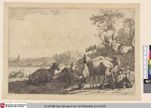 [Der Schafhirte; The Shepherd]