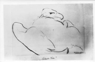 Ruhender Geier. Tusche- und Kohlezeichnung (1934; E. Richter). Dresden-Südvorstadt, Eisenstuckstraße, Atelier der Künstlerin