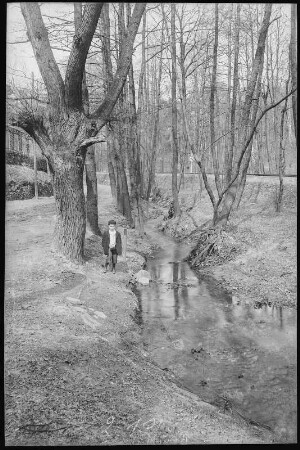 Kötzschenbroda. Niederlößnitz, Lößnitzgrund