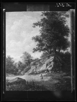 Waldlandschaft mit Wanderer
