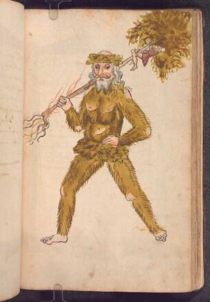 Schembartläufer 1421, Wilder Mann