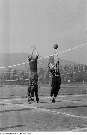 Zwei springende Volleyballspieler am Netz auf dem Spielfeld der Sportschule