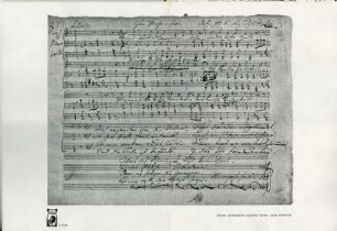 Franz Schuberts kleiner Chor: Zum Punsche