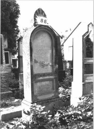 Grabstein 88 (Index: 100114221) Material: Sandstein Zustand: stark verwittert mit großem Textverlust, gebrochen und repariert Maße HxBxT: 187x59x28 cm Beschreibung: Stele, Sockel, Rundbogenabschluß mit Mittelakroter, deutsches eingetieftes Schriftfeld rechteckig Symbolik: Palmette als Mittelakroter: Grabstein 88