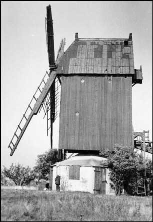 Auf der Horst/Havelse, Bassriedeweg