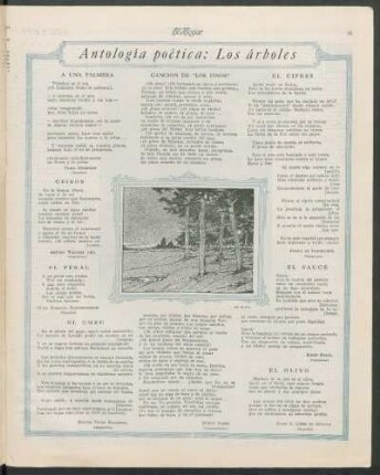 Canción de "Los Pinos"