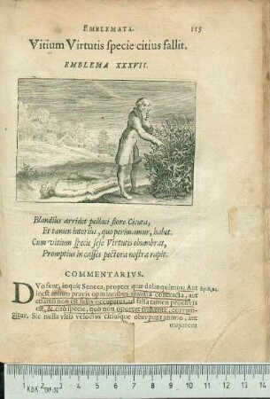 Vitium Virtutis specie citius fallit. Emblema XXXVII.