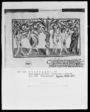 Zwei Schriften — Speculum humanae salvationis — Sündenfall, Folio 99verso