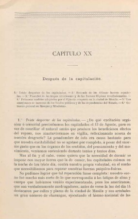 Capítulo XX. Después de la capitulación