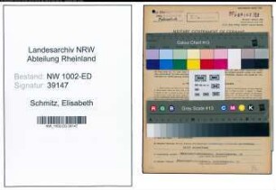 Entnazifizierung Elisabeth Schmitz, geb. 01.12.1886 (Lehrerin)