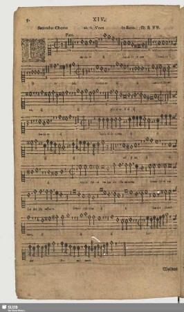 XIV. Laudate Dominum de caelis