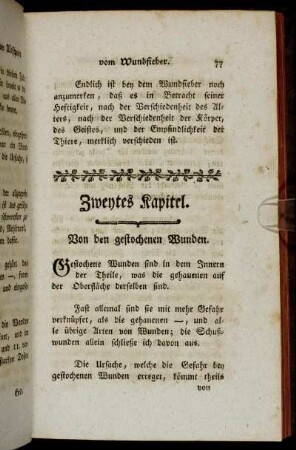 Zweytes Kapitel. Von den gestochenen Wunden.