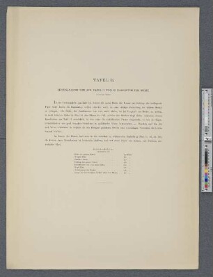 Tafel 13. Seitenansicht der auf Tafel 11 und Tafel 12 dargestellten Mumie.