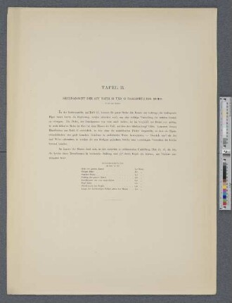 Tafel 13. Seitenansicht der auf Tafel 11 und Tafel 12 dargestellten Mumie.