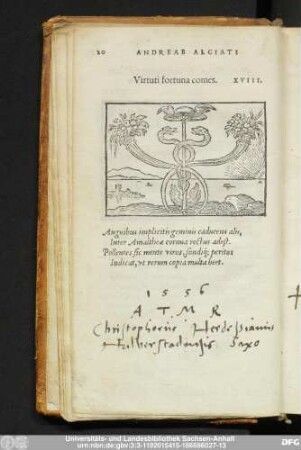 Virtuti fortuna comes. XVIII.