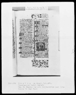 Breviarium Petri Mileti — Initiale D, darin der Narr, Folio 30recto