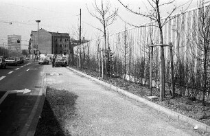 Bepflanzung der Lärmschutzwand am Mendelssohnplatz mit Bäumen und Sträuchern