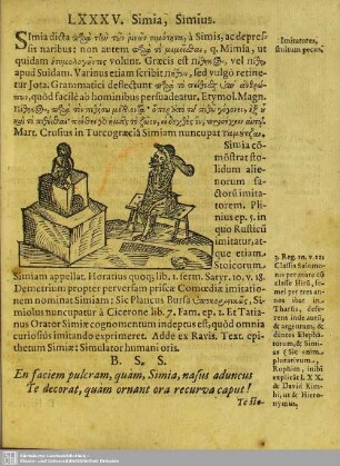 LXXXV. Simia, Simius