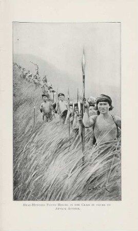 Head-hunters found hiding in the grass in order to attack author