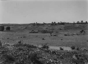 Spärliche Vegetation : Spärliche Baum- und Buschvegetation in der eritreischen Savanne