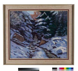 Waldweg im Winter