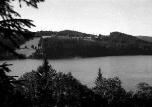 Titisee: Titisee vom Ostufer