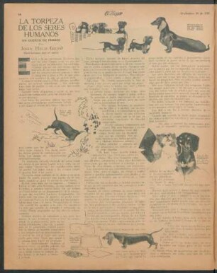 La torpeza de los seres humanos : Un cuento de perros