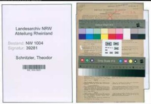 Entnazifizierung Theodor Schnitzler , geb. 15.02.1901 (Handlungsgehilfe)