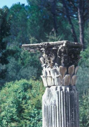 Säule mit Kapitell