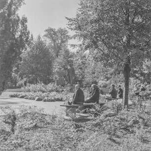 Erratischer Block - Anlagen und anderes : Bautzen. Parkanlage, Schilleranlagen. Blick zur Ernst-Thälmann-Statue