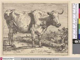 [Abgemagerte Kuh, im Hintergrund ein Dorf; The Cow With the Crumpled Horn]