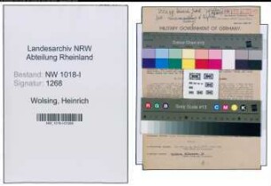 Entnazifizierung Heinrich Wolsing , geb. 05.03.1906 (Stadt)