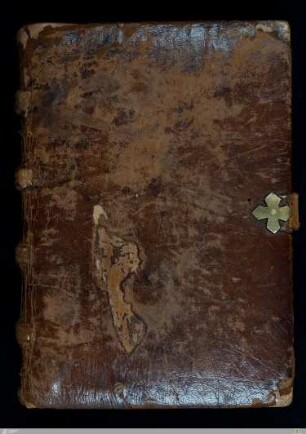 Psalterium - Cod.Don.184