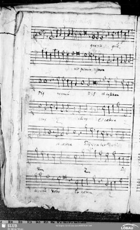 32 Philipp Dulichius: Quaerite primum