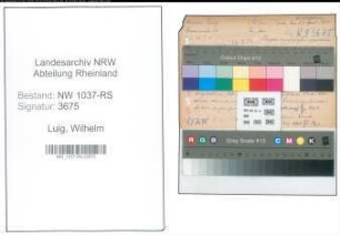 Entnazifizierung Wilhelm Luig , geb. 12.01.1901 (Lehrer)