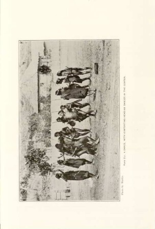 Plate CLI. A dance, with contorting head-ax dancer in the center