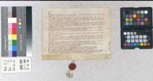 Jurament des Bischofs Johann von Hoya.