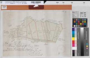 Hesseln (Halle) Teilung der Großen Steinheide, Anteil der Bauerschaft Hesseln 1174 o.M. 32,5 x 49 kol. Zeichnung M. C. L. Reinhold Spez.Verz. Markenkarten X Nr. 52