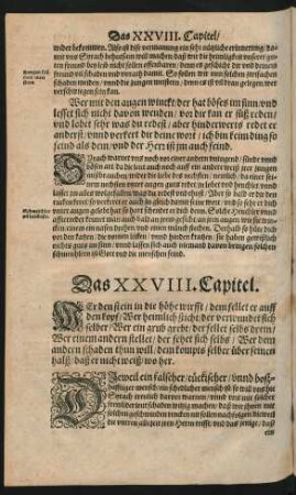 Das XXVIII. Capitel.