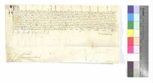 Privileg des päpstlichen Legaten für Johann Symon, Pfarrherr zu Hüttisheim