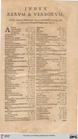 Index rerum & verborum