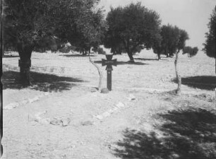 Gräberfeld : Gräber von Fallschirmjägern der Luftlandschlacht um Kreta in einem Olivenhain