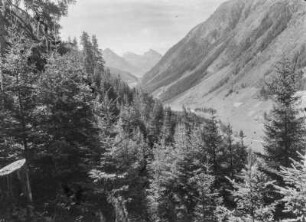 Das Paznaun : Blick von einem Wald in das Paznaun Tal
