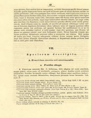 VII. Specierum descriptio.