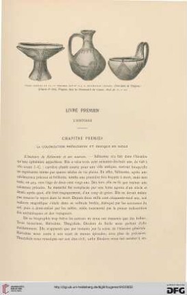 Livre premier: L'histoire
