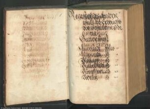 Erbbuch des Amtes Pforta